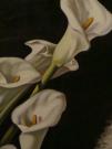 Tamara De Lempicka 135